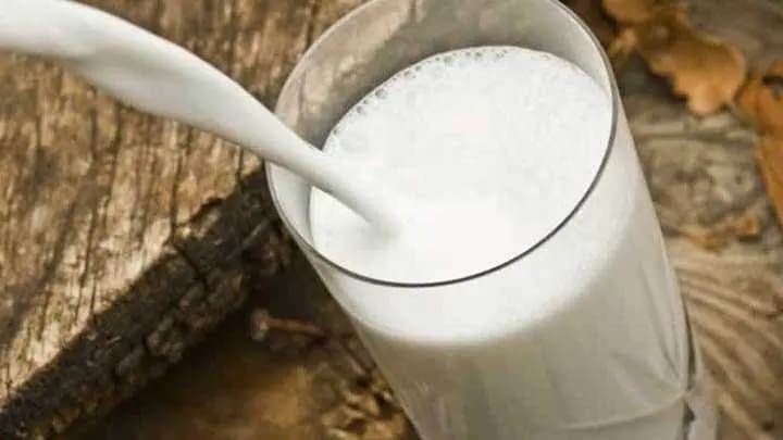Yayık Ayran